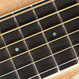 Fretboard Inlay