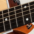 Fretboard Inlay