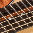 Fretboard Inlay