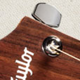 Bridge Inlay