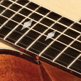 Fretboard Inlay