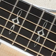 Fretboard Inlay