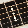 Fretboard Inlay