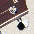 Bridge Inlay