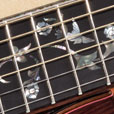 Fretboard Inlay