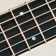 Fretboard Inlay