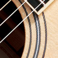 Peghead Inlay