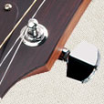 Bridge Inlay