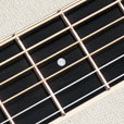 Fretboard Inlay