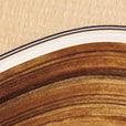 Fretboard Inlay