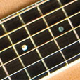 Fretboard Inlay