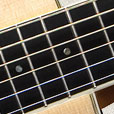 Fretboard Inlay