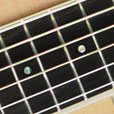 Fretboard Inlay