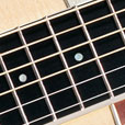 Fretboard Inlay