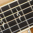 Fretboard Inlay