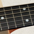 Fretboard Inlay