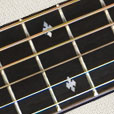 Fretboard Inlay