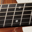 Fretboard Inlay