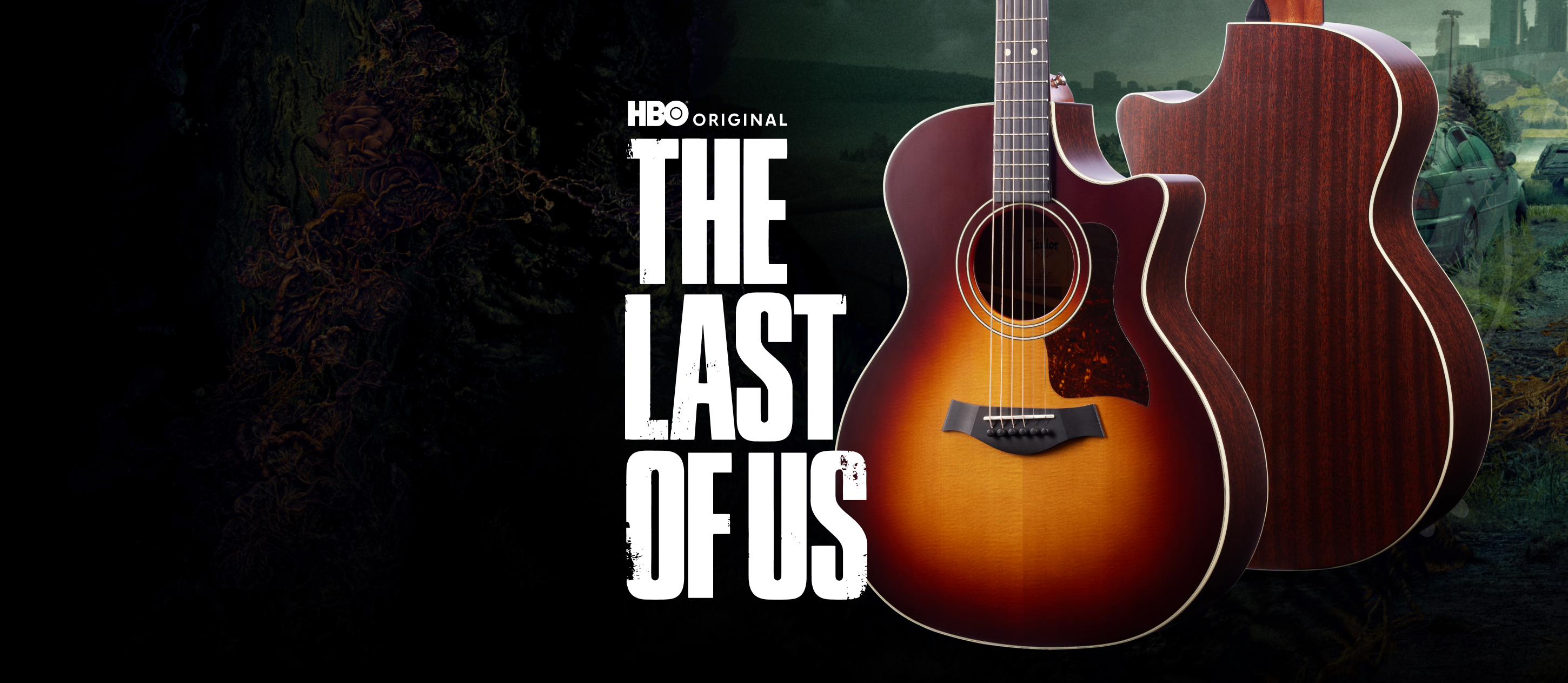 The Last of Us Hero Image