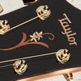 Fretboard Inlay