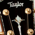 Peghead Inlay