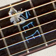 Fretboard Inlay