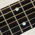 Fretboard Inlay