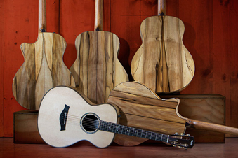 taylor gs mini 2014 fall limited