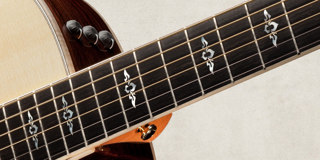 800 Series Taylor Guitars