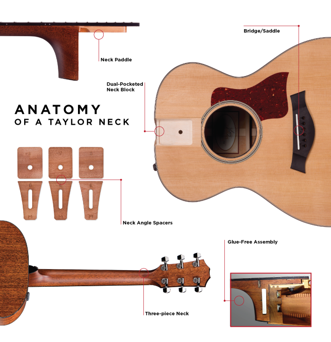 taylor gs mini truss rod adjustment Cinosural International School