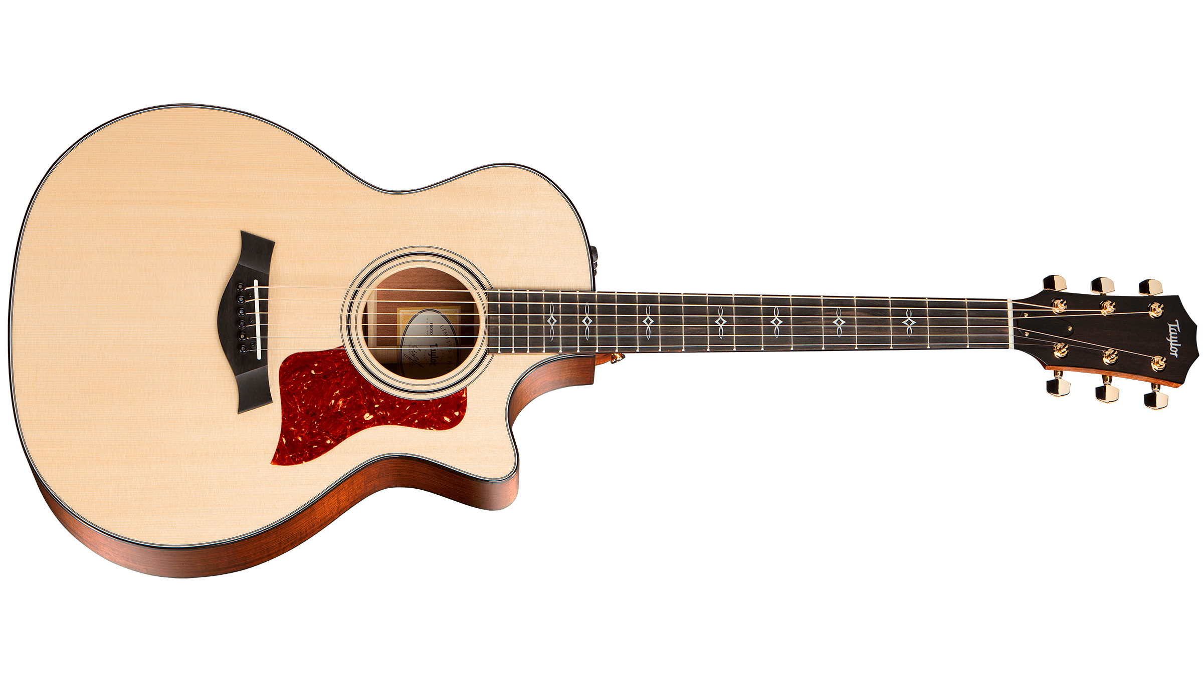314ce LTD Tasmanian Blackwood Acoustic-Electric Guitar | Taylor 