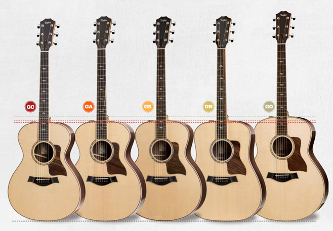 Taylor Guitars Acoustic Guitar Body Shapes Info Graphic