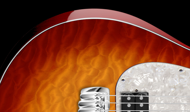 solidbody-appointments-taylor-guitars.jpg