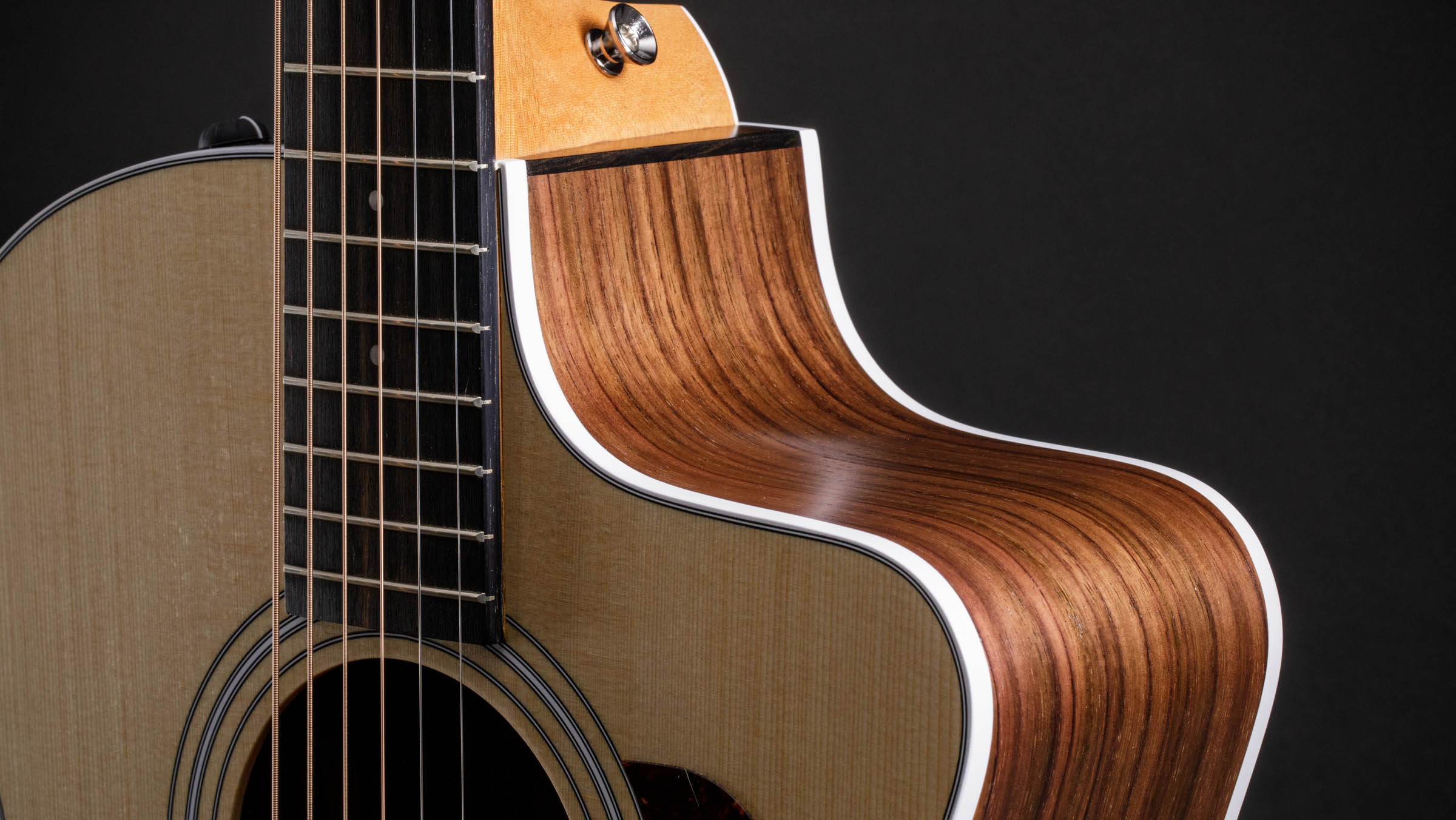 214ce Layered Rosewood Acoustic-Electric Guitar | Taylor Guitars