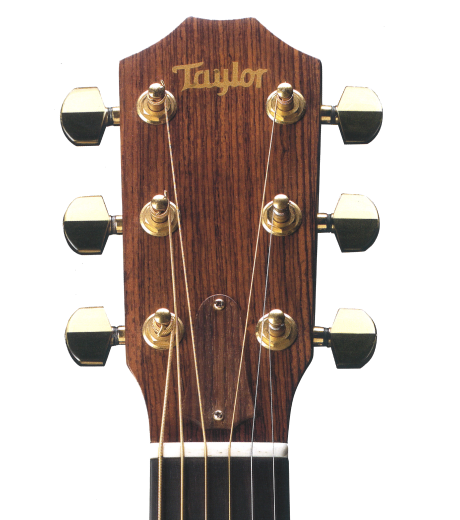 Image of Taylor Guitars Headstock