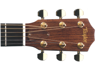 TaylorHeadstock