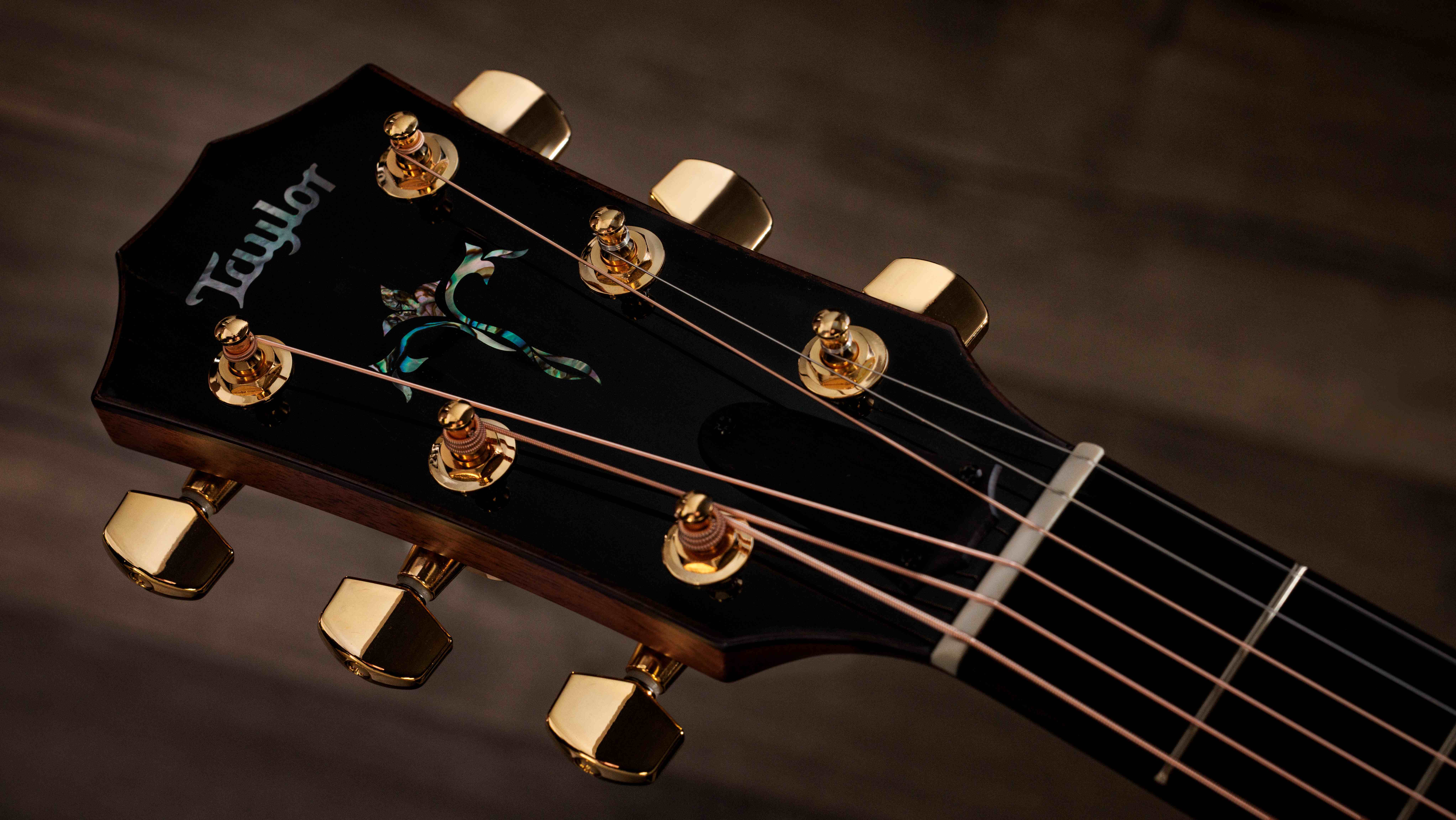 Taylor-Legacy-914ce-1201215106-gallery-09-2025.jpg