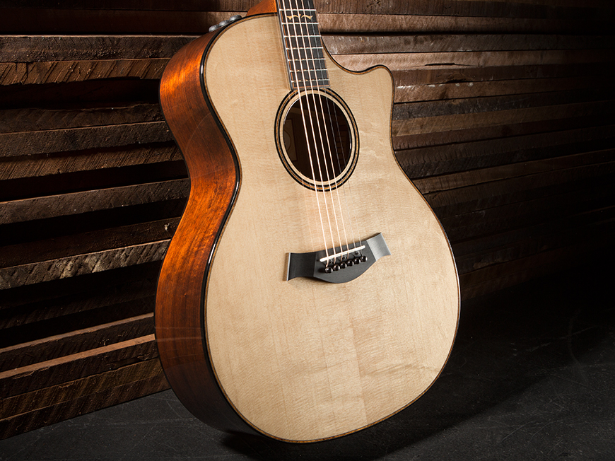 Build Your own Custom Guitar With Taylor Guitars