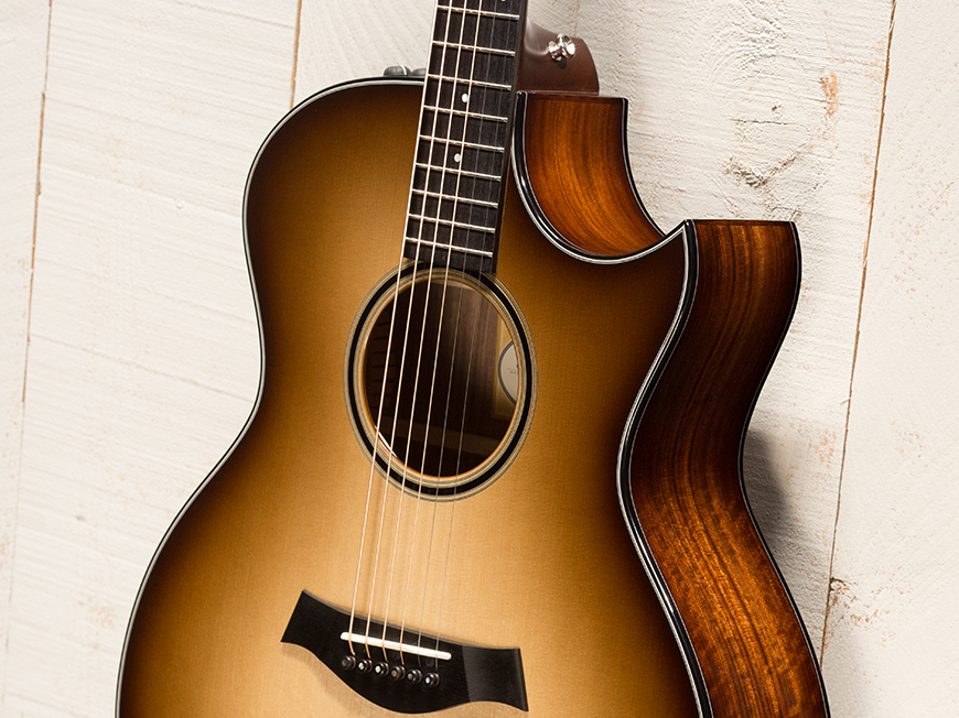 Build Your own Custom Guitar With Taylor Guitars