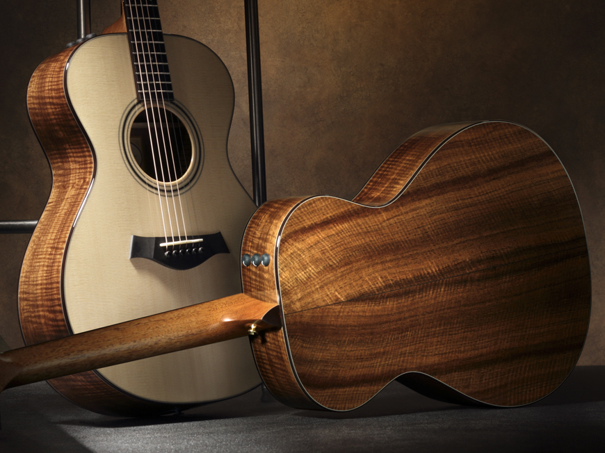 Build Your own Custom Guitar With Taylor Guitars