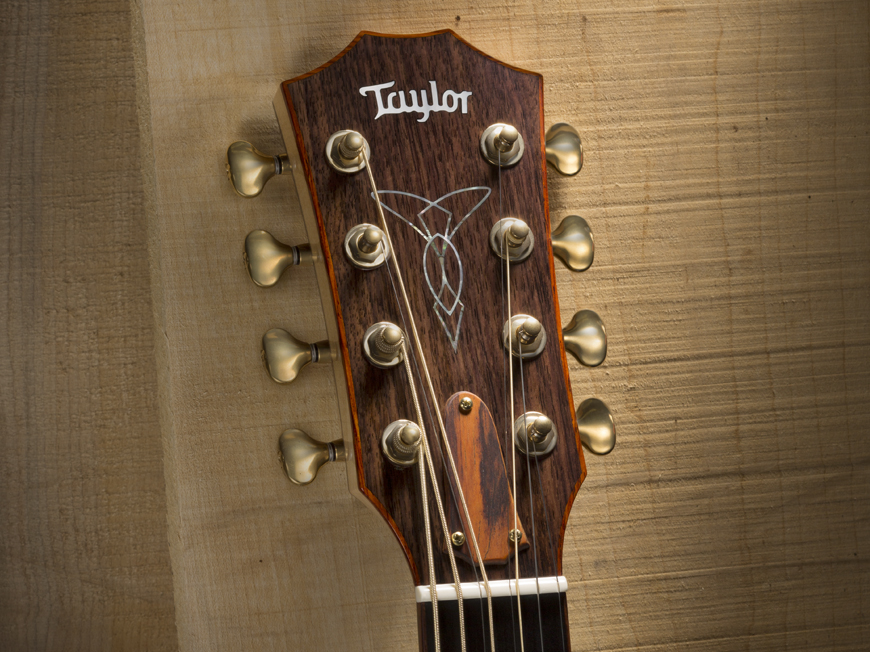 Build Your own Custom Guitar With Taylor Guitars