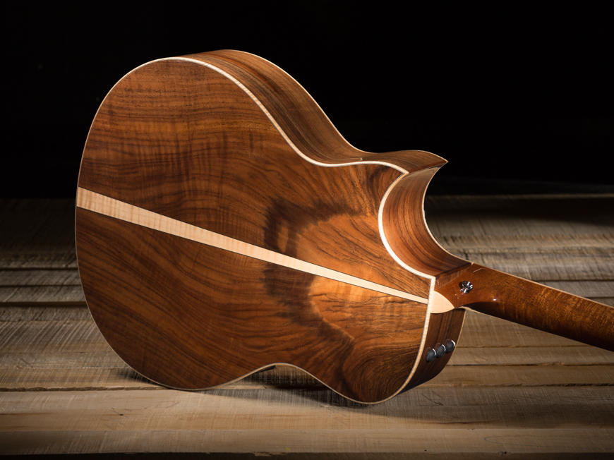 Build Your own Custom Guitar With Taylor Guitars