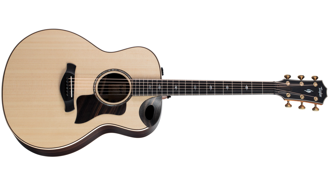 taylor soundport cutaway