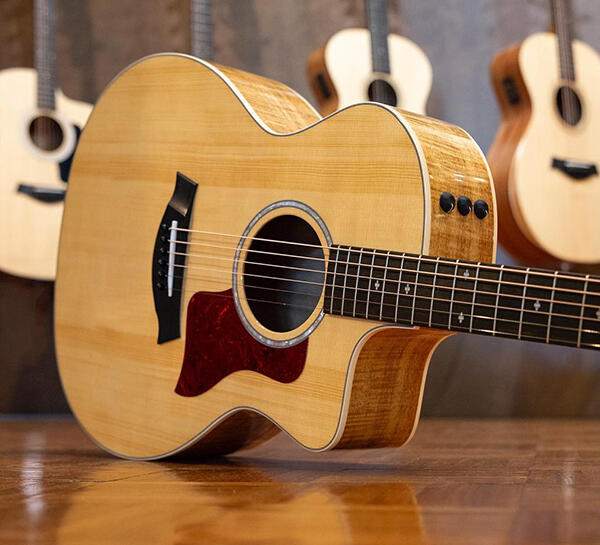 Carlton Music Center Lakeland Taylor Guitars