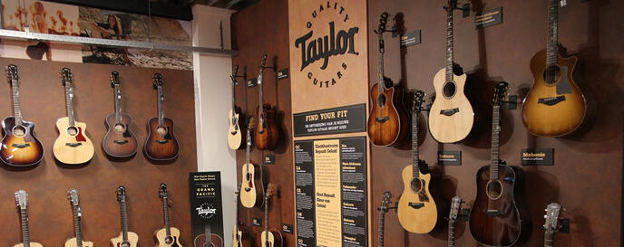 taylor guitar store