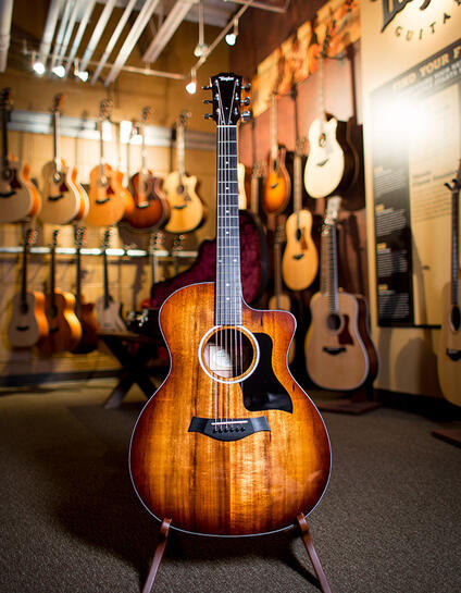 The Music Zoo Taylor Guitars
