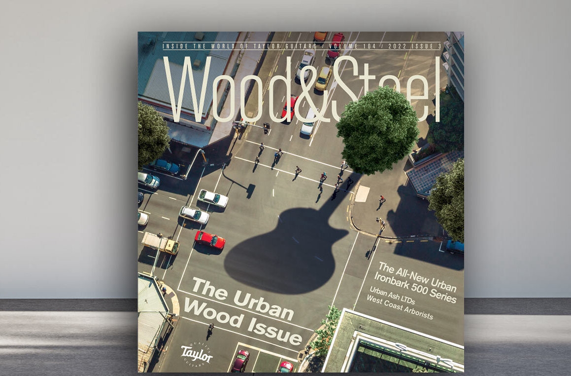 Taylor-Guitars-WS-5050