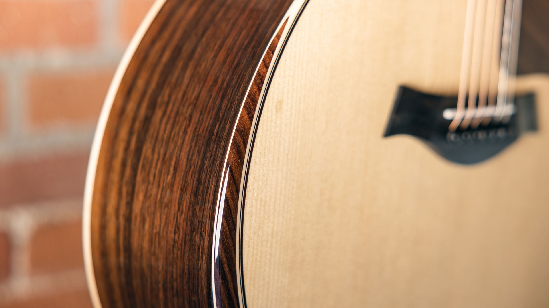 taylor-814ce-how-body-woods-contribute-to-sound