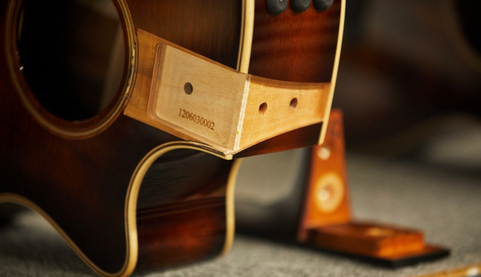 Taylor guitar on sale neck for sale