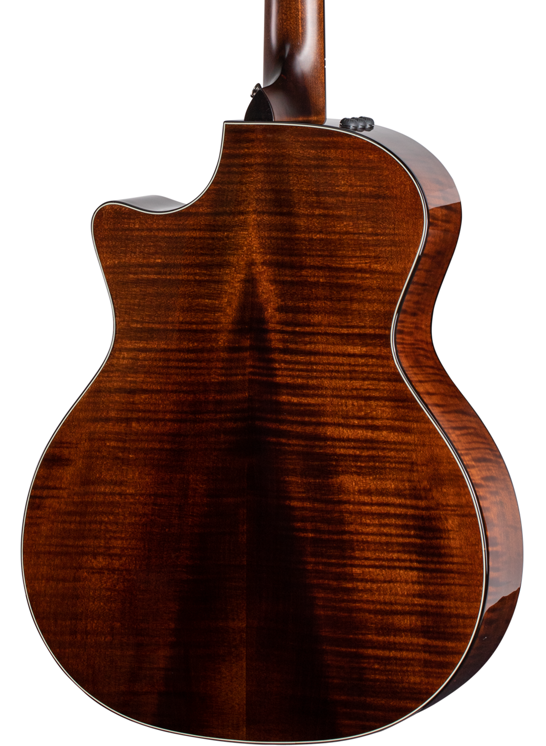 taylor-features-back-woods-maple-614ce